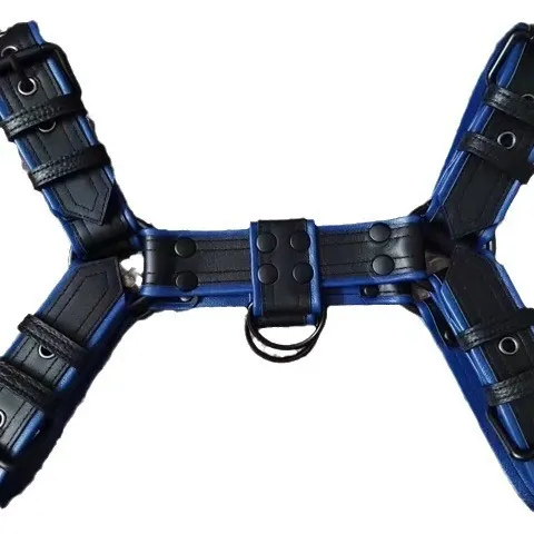 Bondage BDSM Fetish Restraint Lingerie Harness