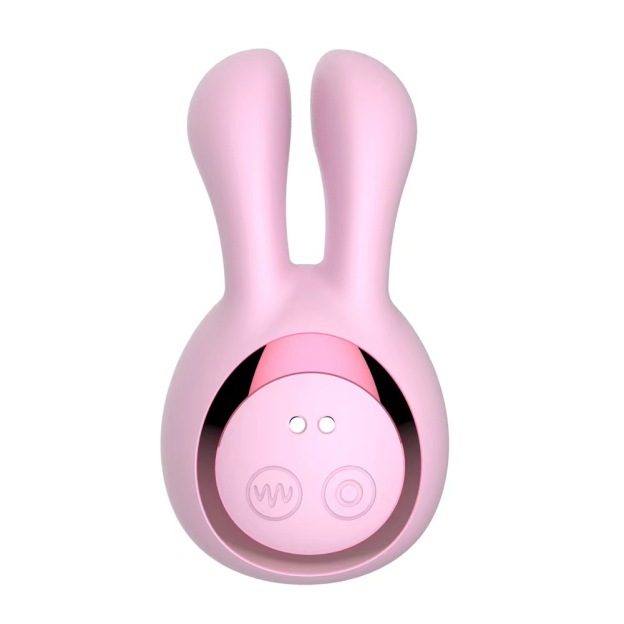 Bunny Bliss Dual Stimulation Clitoral Suction & Vibration Rabbit Vibrator-WeLovePlugs