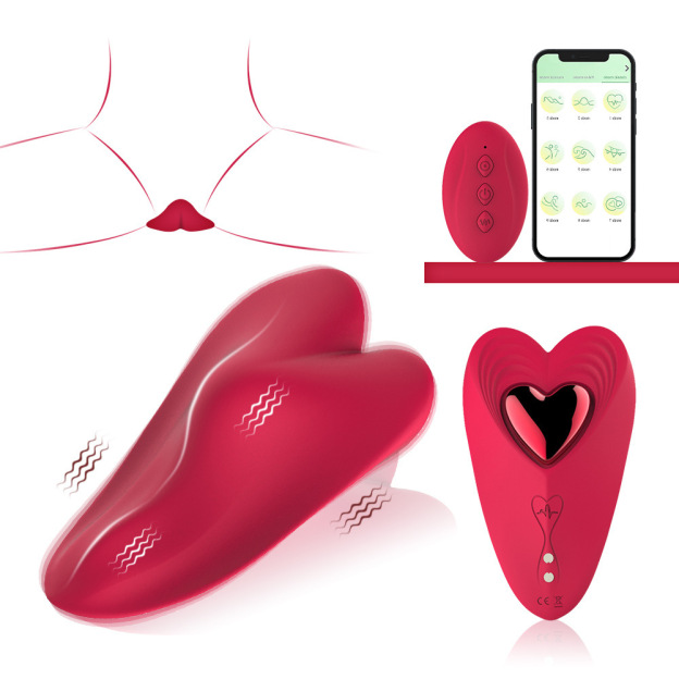 LovePulse Magnetic Panty Vibrator