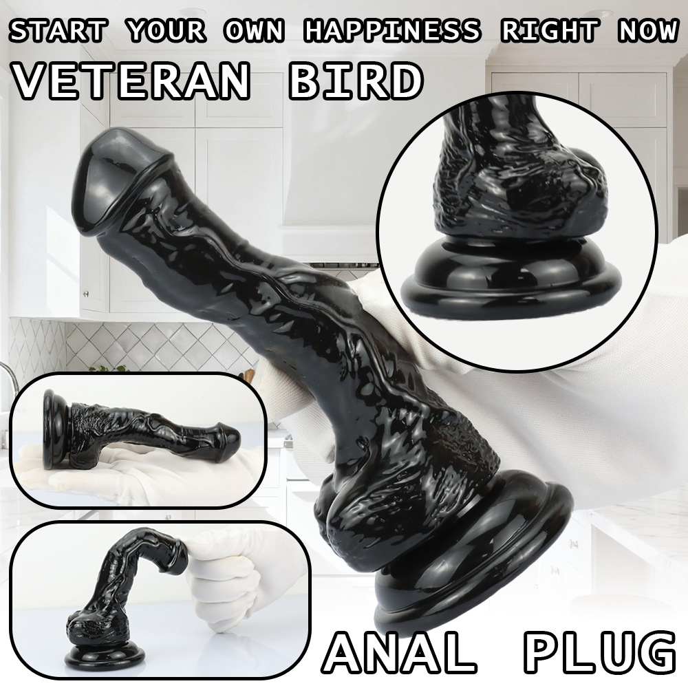 Irregular Type Anal Plug - image 7
