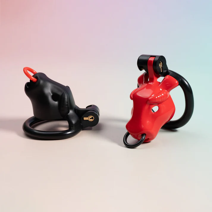 Bull Chastity Cage Kit - image 7