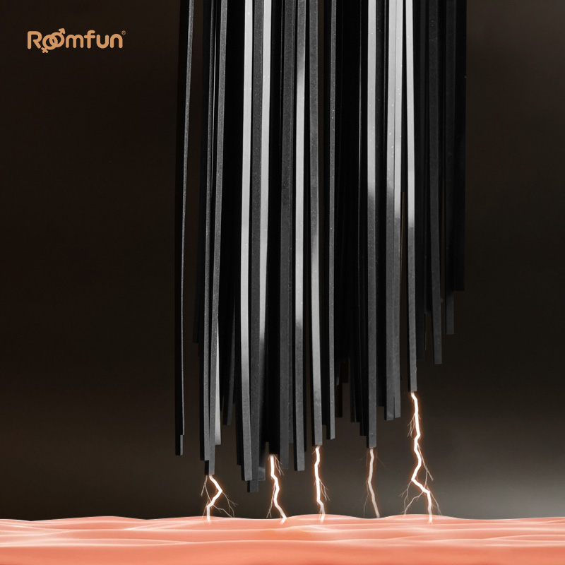 Electric Shock Whip Flogger BDSM - image 5