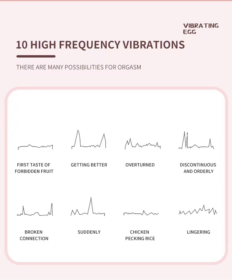 Clitoral & G-Spot Vibrator – 10 Vibration Modes, Quiet & Portable Design-WeLovePlugs