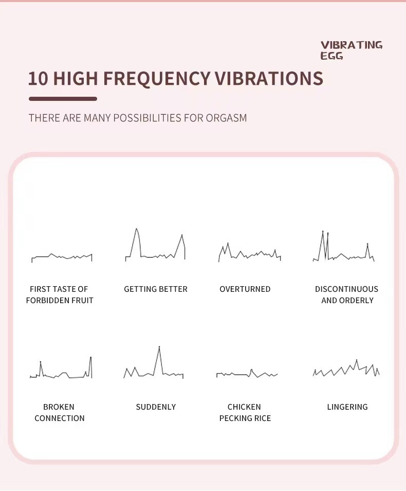 Clitoral & G-Spot Vibrator – 10 Vibration Modes, Quiet & Portable Design-WeLovePlugs