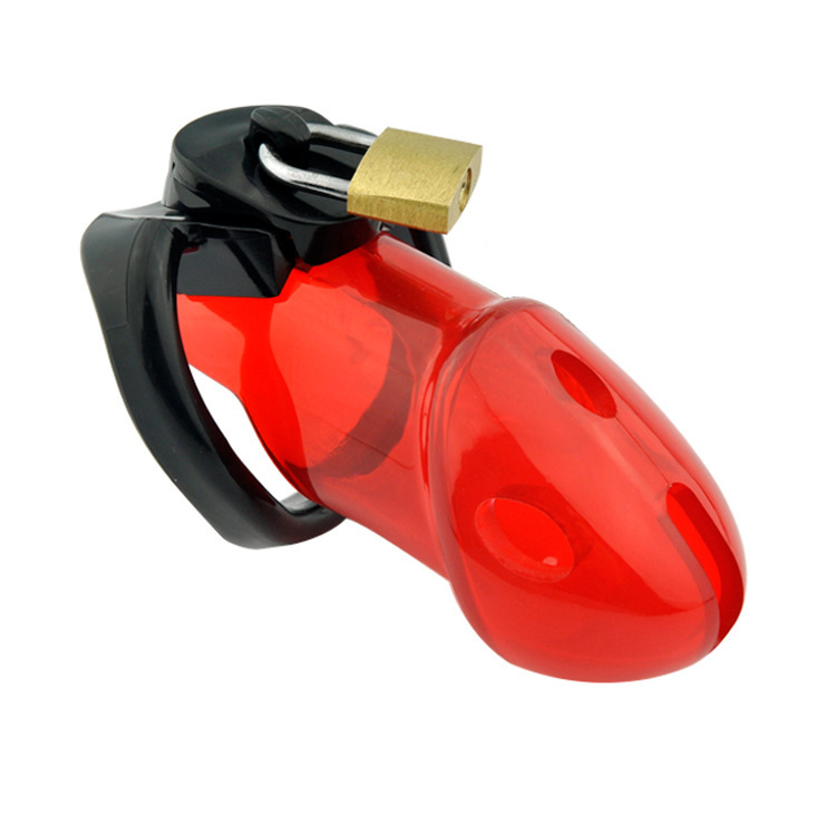 Caught Red Handed Locking Cock & Ball Chastity Cage -WeLovePlugs