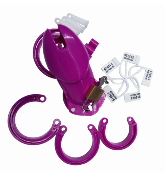 Denial Chastity Cage -WeLovePlugs