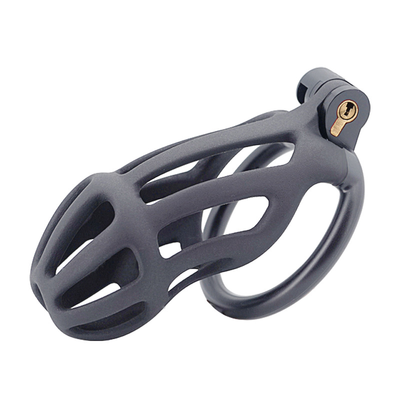 Chastity Cage with 4 Rings & Key - Hollow B - image 2