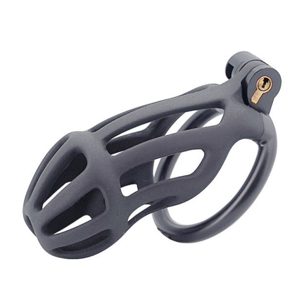 Chastity Cage with 4 Rings & Key - Hollow B - image 2