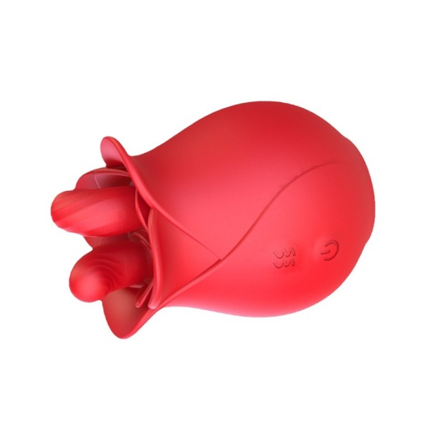 Double Tongue Lick Vibrator With 10 Frequency -WeLovePlugs