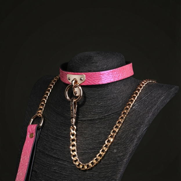 Snake Skin Texture Collar & Leash Set - image 6