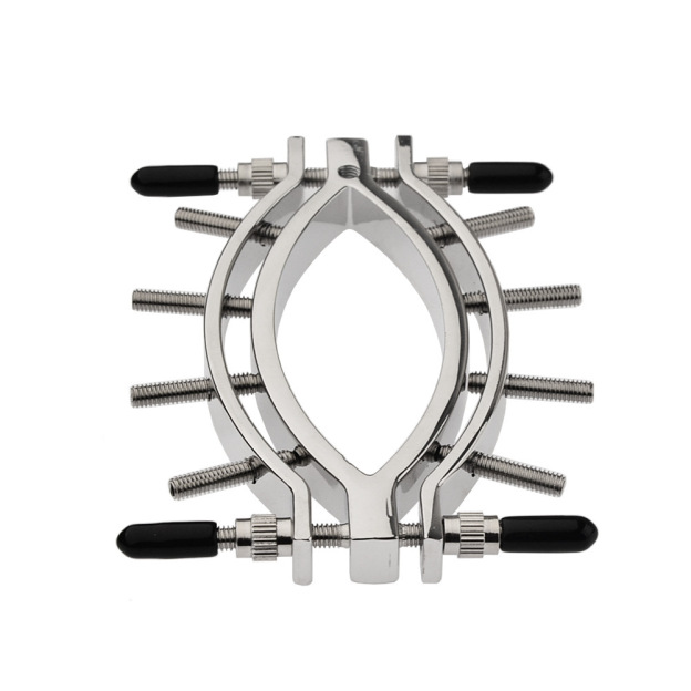 Stainless Metal Adjustable Labia Clamp for Sensation Play - image 2
