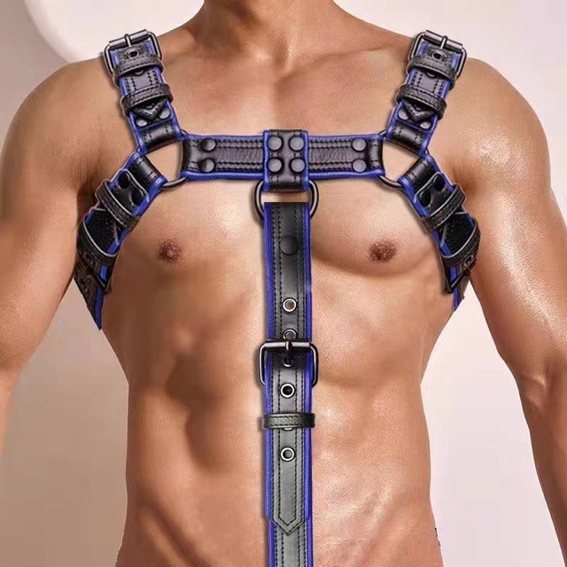 Bondage BDSM Fetish Restraint Lingerie Harness