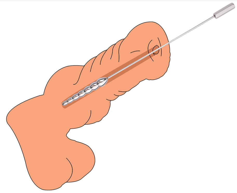 Beaded Stainless Steel Urethral Sound -WeLovePlugs