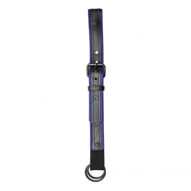 Bondage BDSM Fetish Restraint Lingerie Harness
