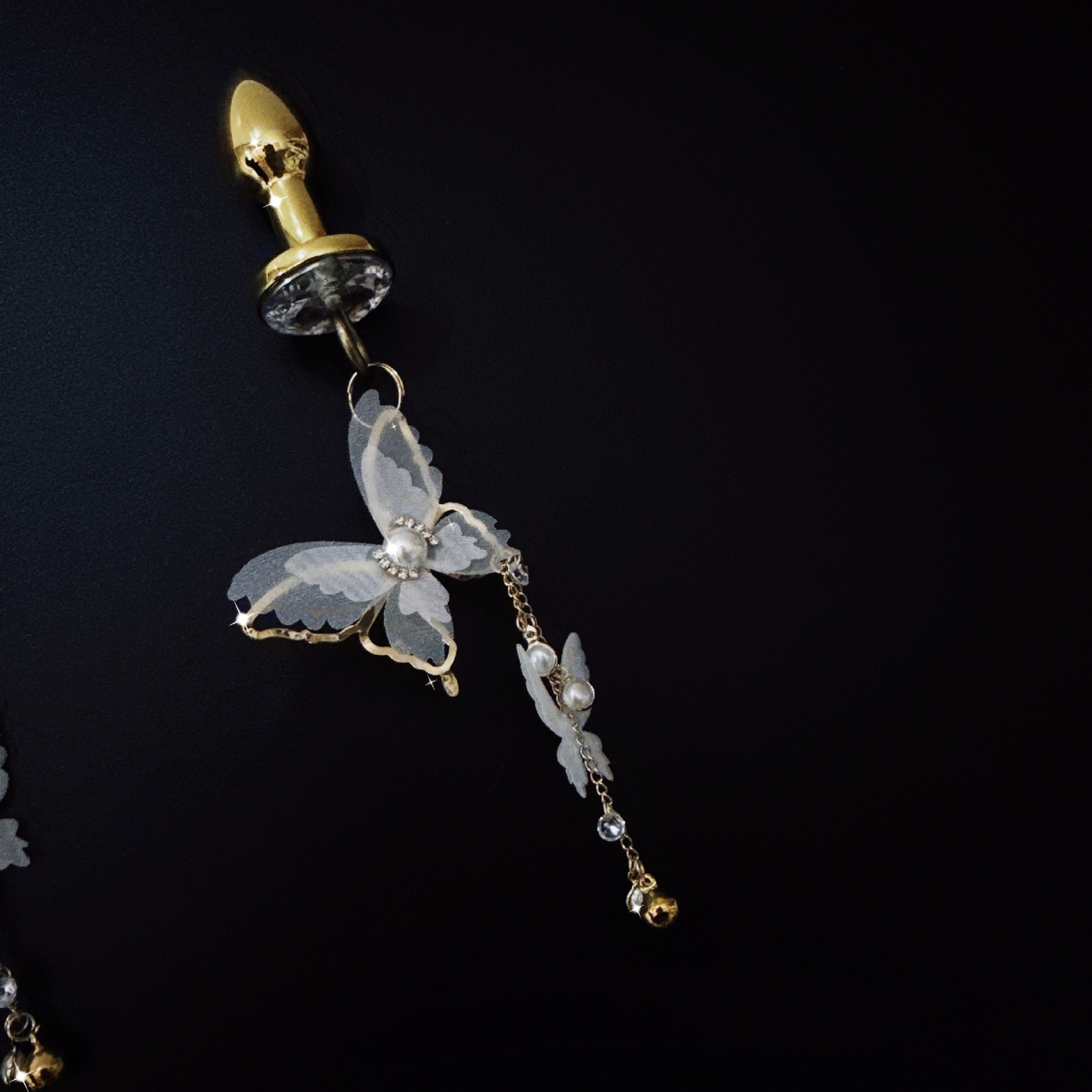 Lace & Discipline: Nipple Clamp & Butt Plug-WeLovePlugs