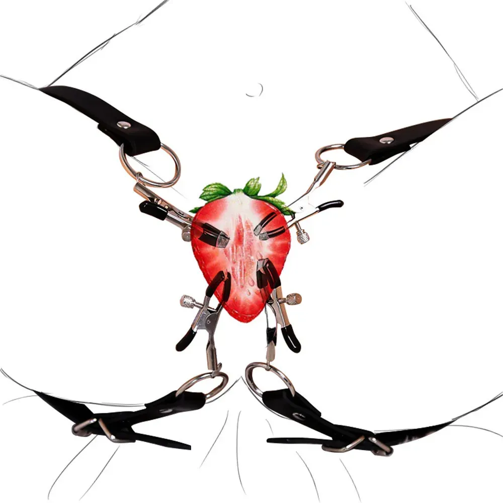 Labia Spreader Clip Clitoris Clamps -WeLovePlugs