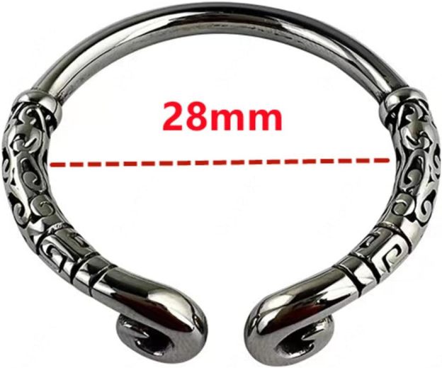 Metal Money King Chastity Cock Ring -WeLovePlugs