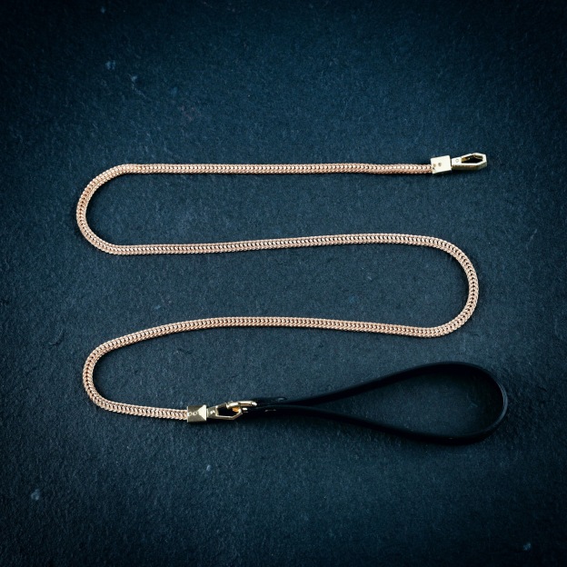 Collar & Lead Set