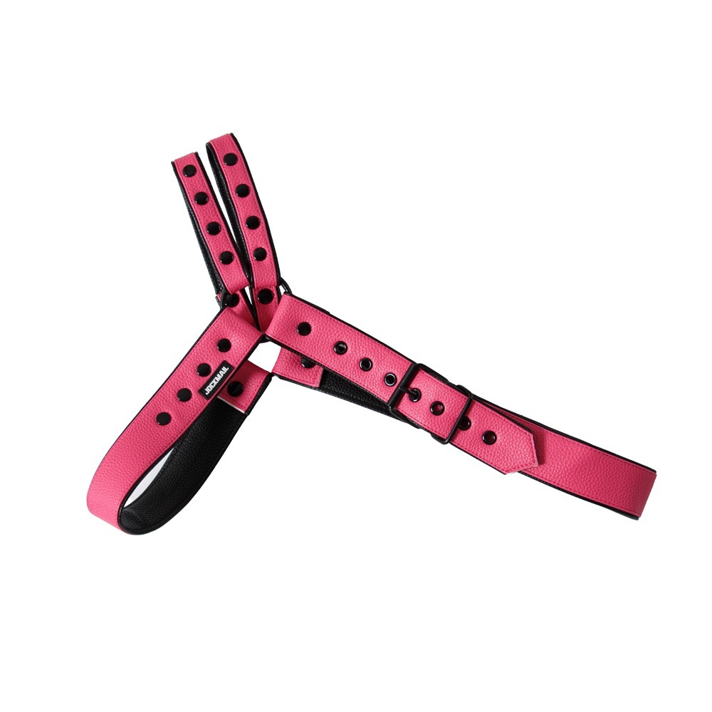 Adjustable Jockmail Men's Harness - Pink - One Size - image 2