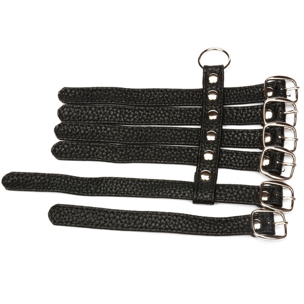 Six-Ring Pu Leather Cock Cage Penis Ring-WeLovePlugs