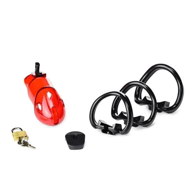 Caught Red Handed Locking Cock & Ball Chastity Cage -WeLovePlugs