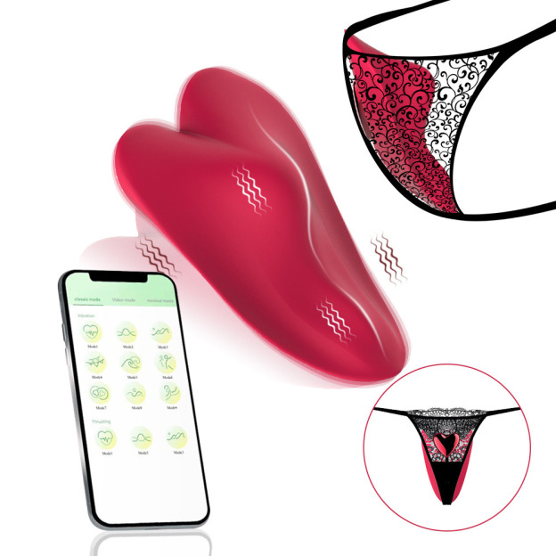LovePulse Magnetic Panty Vibrator