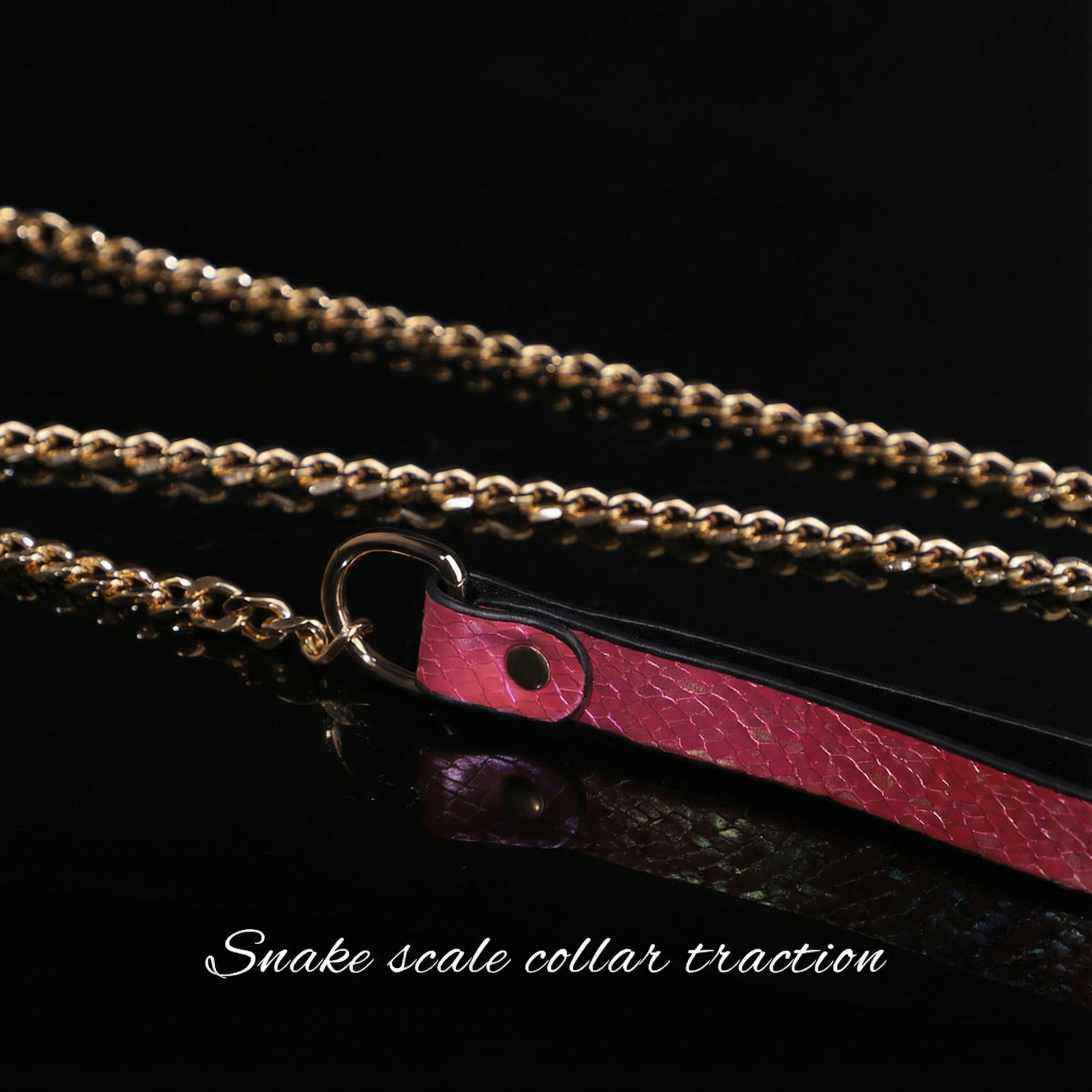 Snake Skin Texture Collar & Leash Set - image 8