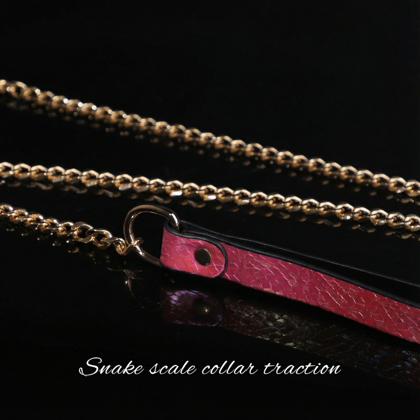 Snake Skin Texture Collar & Leash Set - image 8