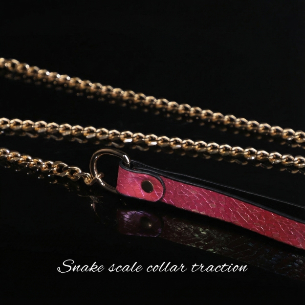 Snake Skin Texture Collar & Leash Set - image 8
