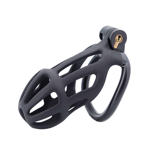 Chastity Cage with 4 Rings & Key - Hollow C - image 3