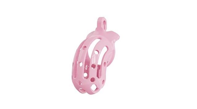 Cobra Chastity Cage with Spikes & 4 Rings -WeLovePlugs