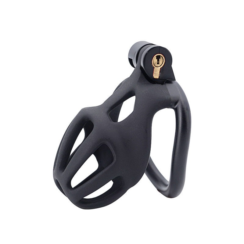 Chastity Cage with 4 Rings & Key - Hollow D - image 1
