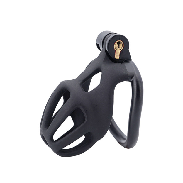 Chastity Cage with 4 Rings & Key - Hollow D - image 1