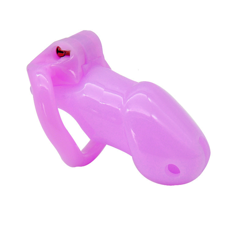 Sissy Bitch High Security Keyed Tumbler Male Chastity Cage -WeLovePlugs