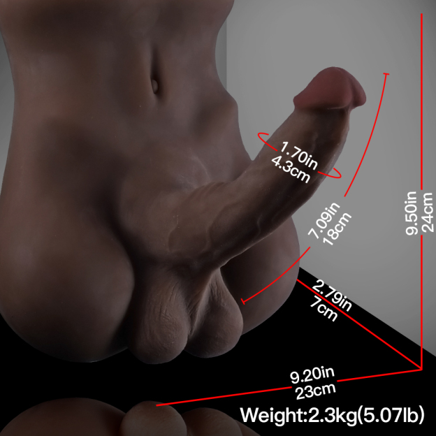 Lifelike Men's Torso for Women – Realistic Cock & Anal Experience