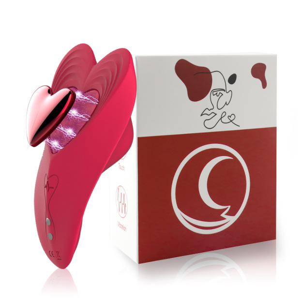 LovePulse Magnetic Panty Vibrator