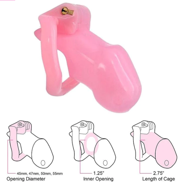 Sissy Bitch High Security Keyed Tumbler Male Chastity Cage -WeLovePlugs