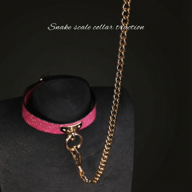 Snake Skin Texture Collar & Leash Set - image 10