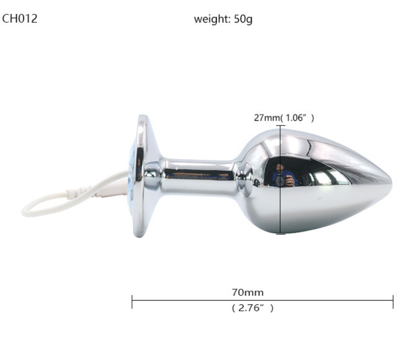 Electric Shock Anal Plug Chastity Lock Set -WeLovePlugs