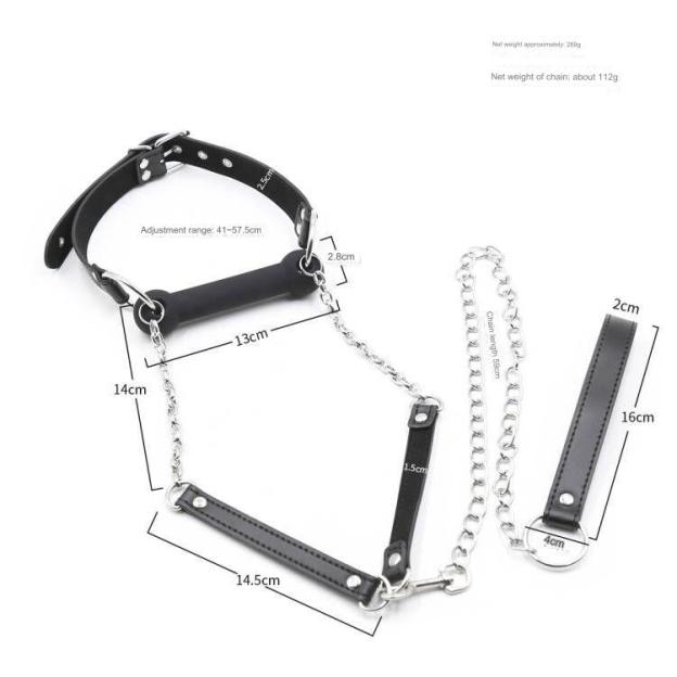 BDSM Mouth Gag With Leash -WeLovePlugs
