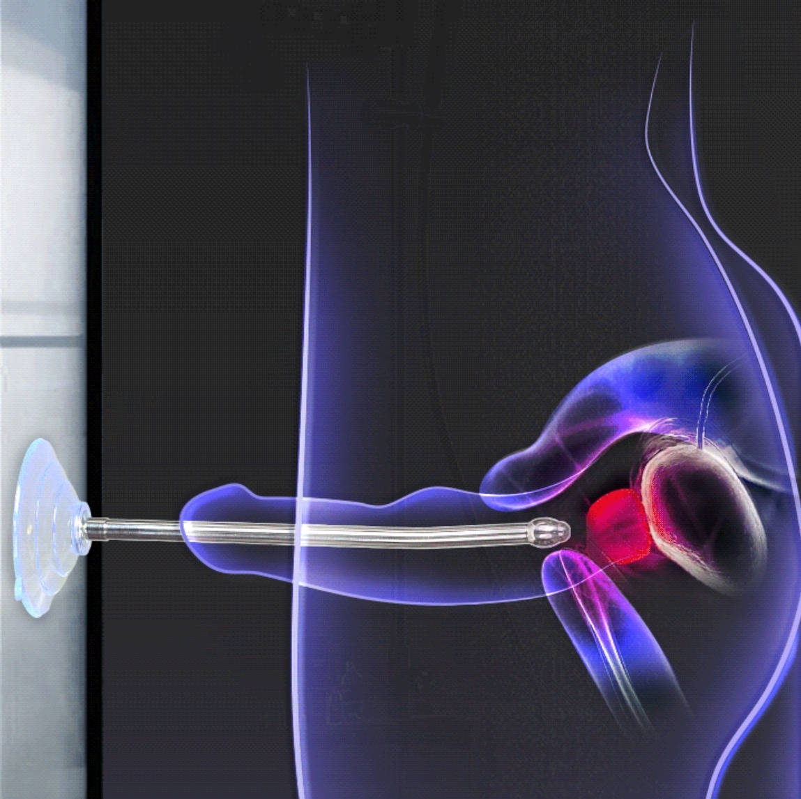 Urethral Sound with Suction Cup Base -WeLovePlugs