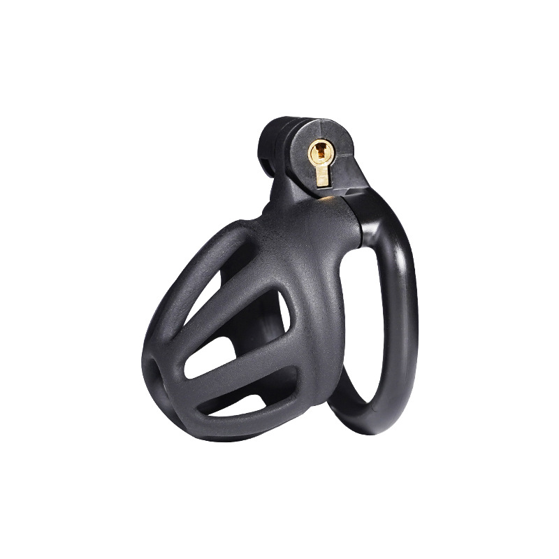 Chastity Cage with 4 Rings & Key - Hollow E - image 7