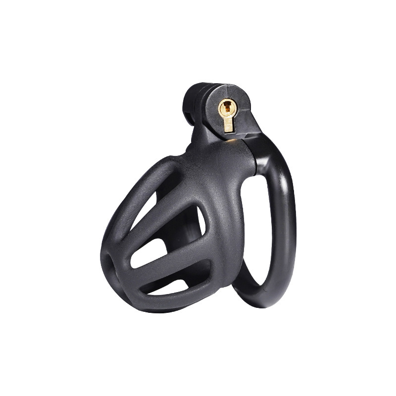 Chastity Cage with 4 Rings & Key - Hollow E - image 7