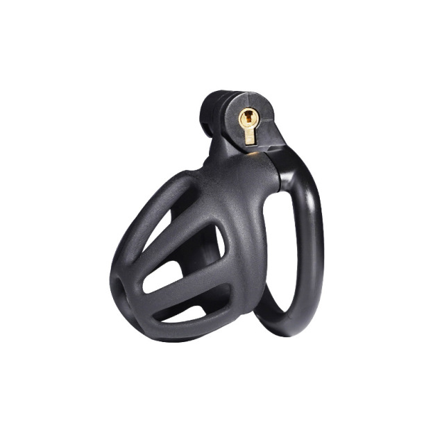 Chastity Cage with 4 Rings & Key - Hollow E - image 7