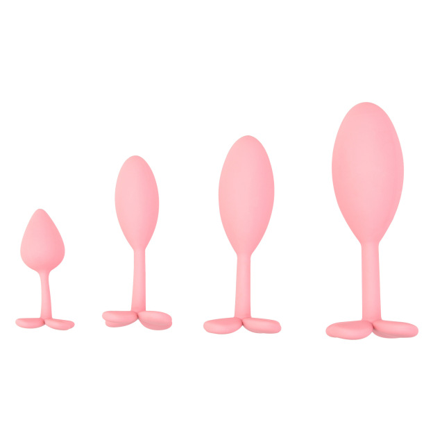 Four Leaf Clover Anal Plugs Trainer Sex Toy -WeLovePlugs