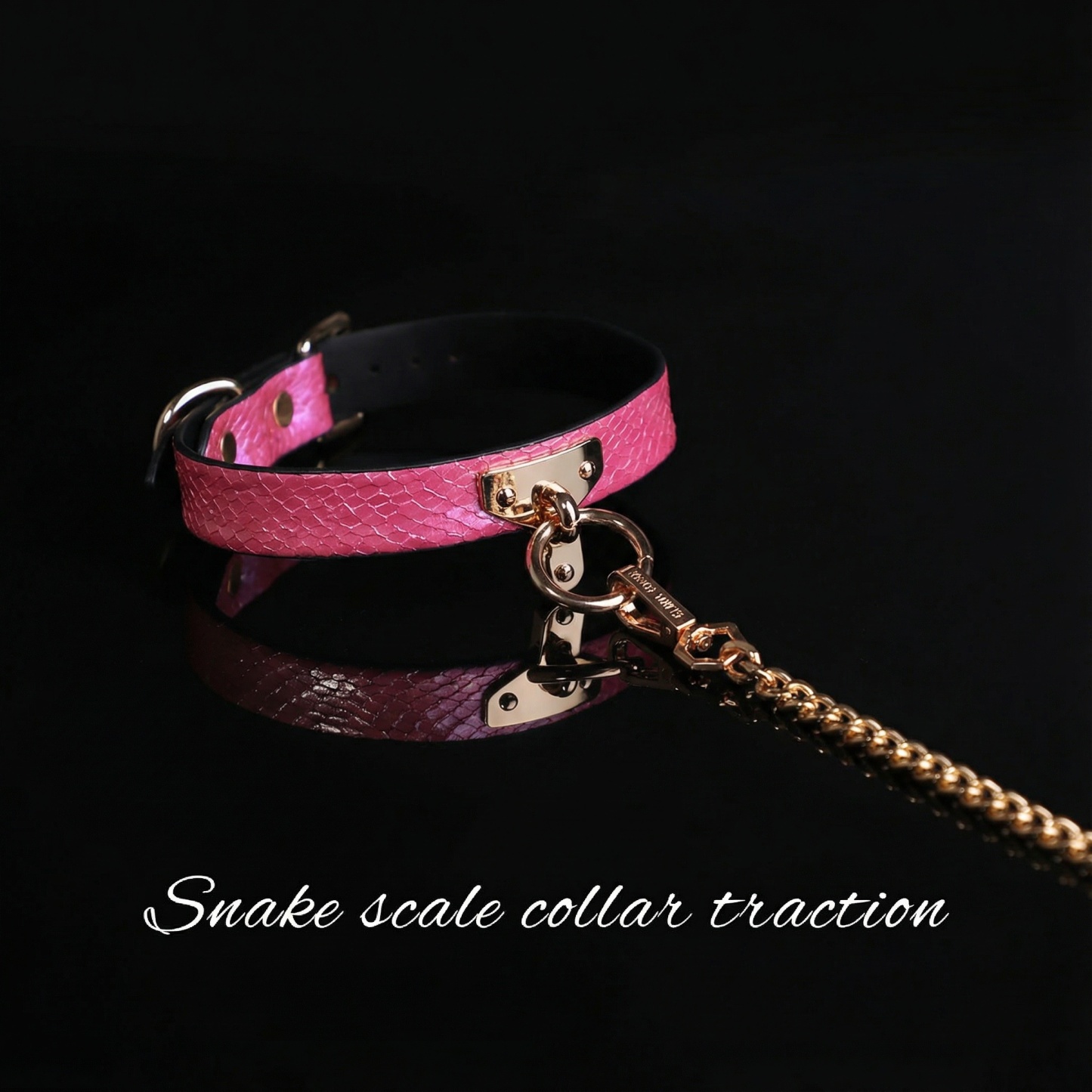 Snake Skin Texture Collar & Leash Set - image 7