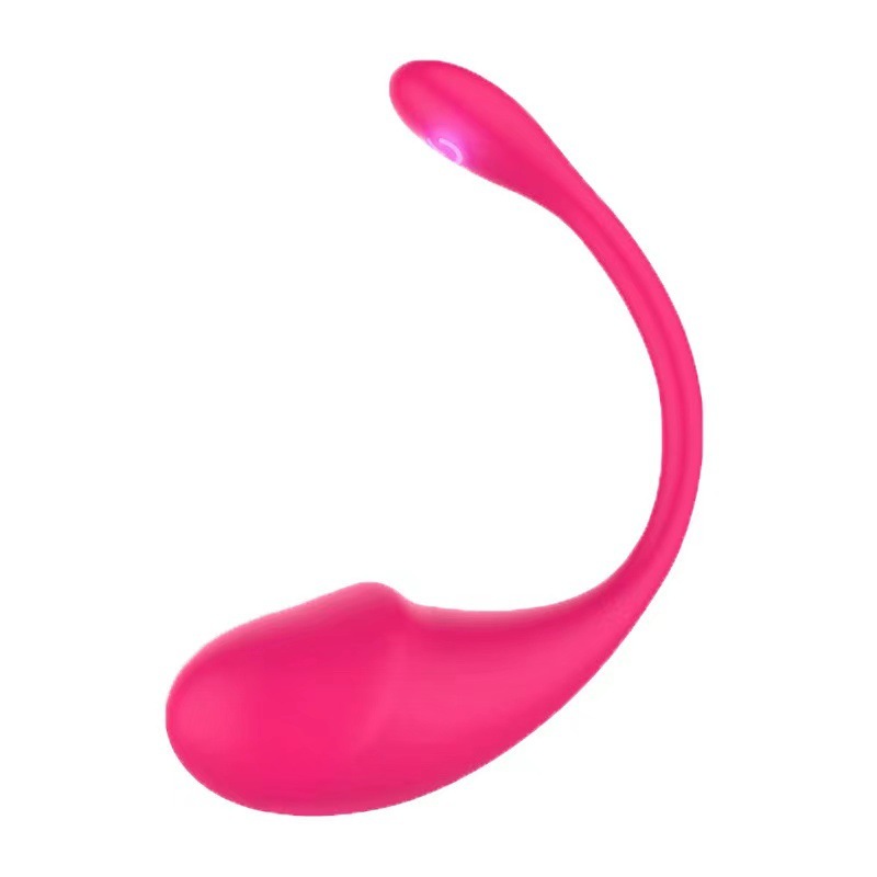APP Remote Control G-spot Panty Vibrator 10 Vibrations
