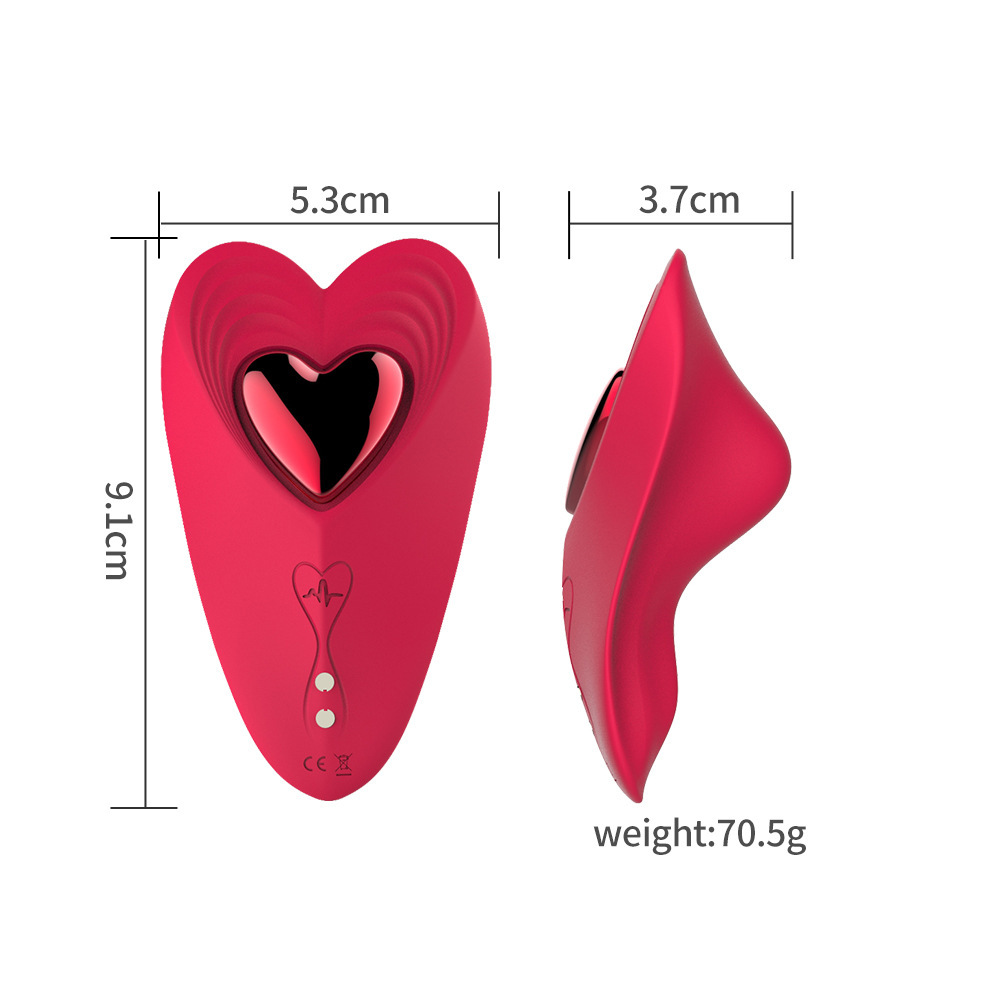 LovePulse Magnetic Panty Vibrator