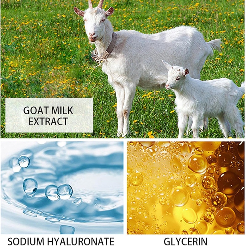 Goat Milk Body Lotion - 250ml (8.45 fl oz)
