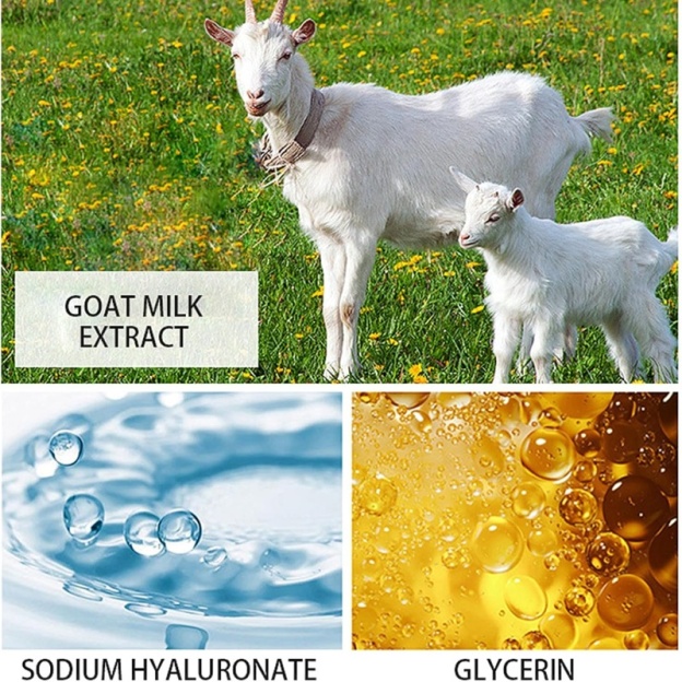 Goat Milk Body Lotion - 250ml (8.45 fl oz)